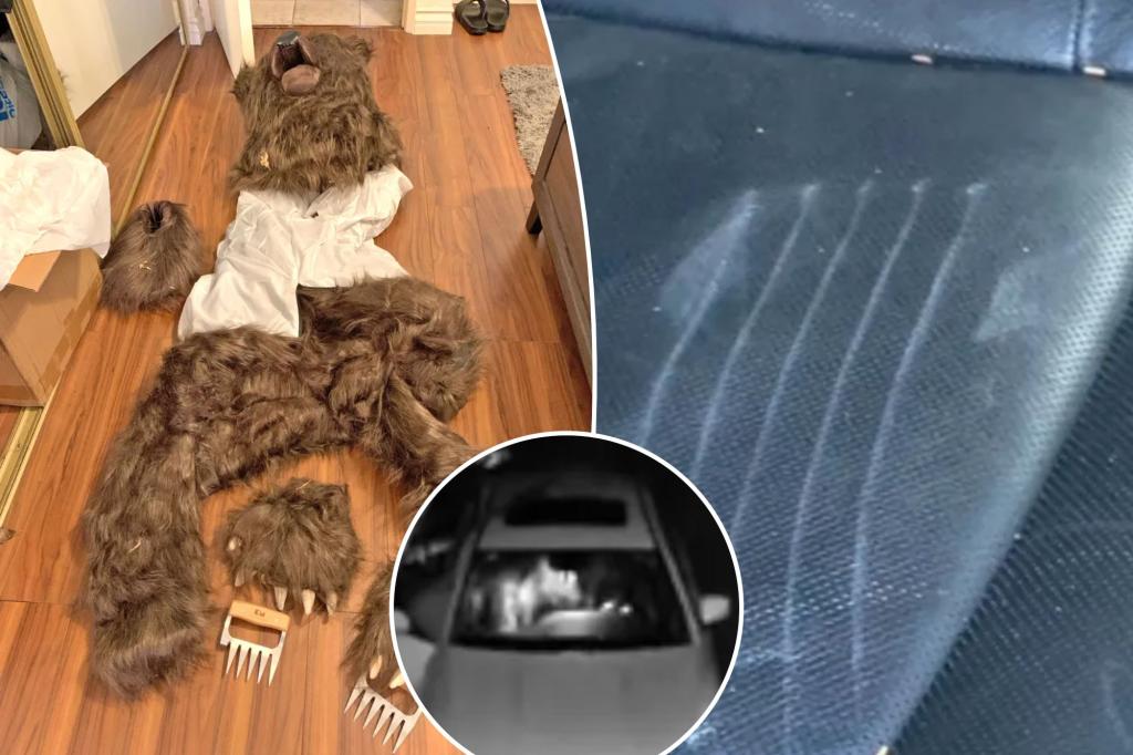 Person dons bear costume to stage attacks on luxury cars to fool insurance companies into $141K payouts