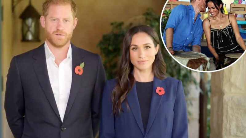 Prince Harry and Meghan Markle share new video message: ‘We are at a crossroads’