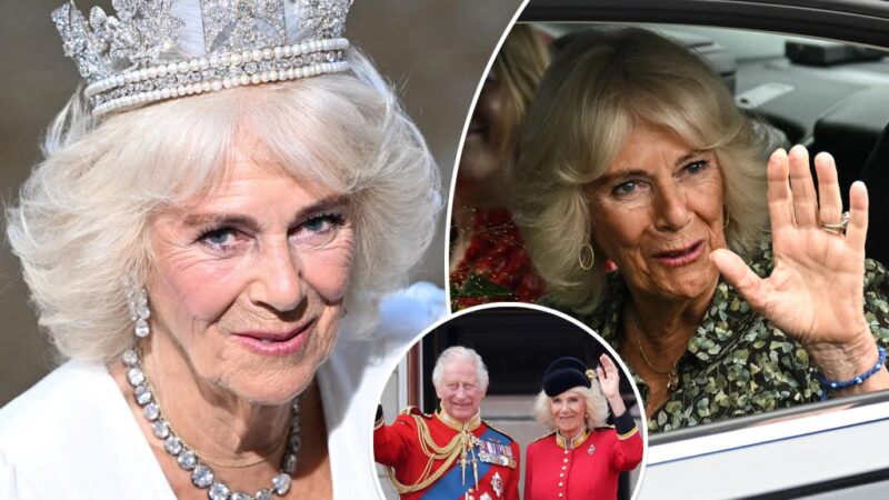 Queen Camilla, 77, gives health update after chest infection battle: ‘Hopefully, I’m on the mend’