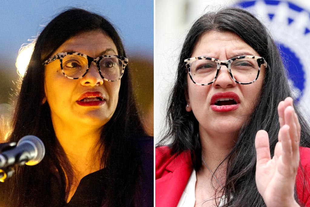 Rashida Tlaib uses Thanksgiving message to poke at Israel as she ‘mourns’ Indigenous ‘killed by European settlers’