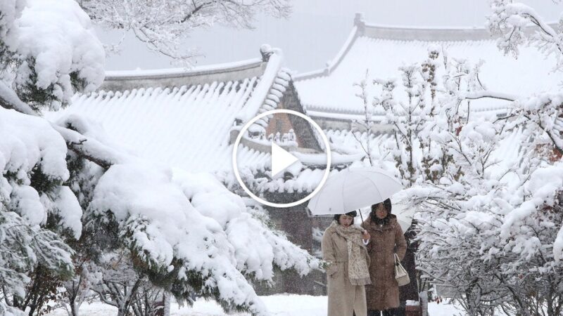 Record November Snowfall Hits Seoul