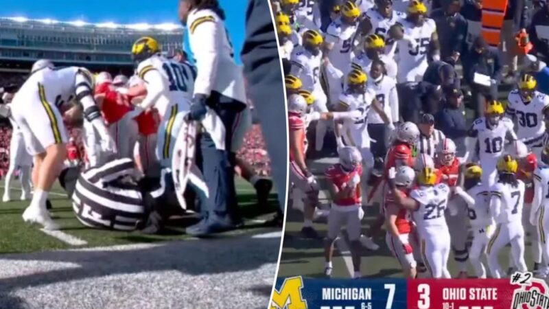 Referee taken down during Ohio State-Michigan sideline skirmish