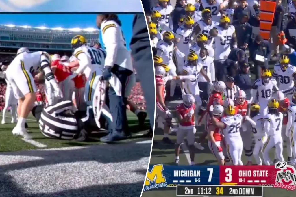 Referee taken down during Ohio State-Michigan sideline skirmish