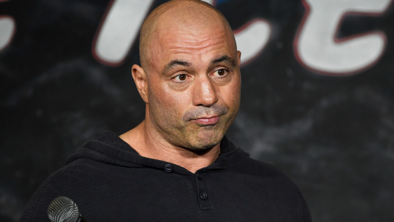 Rogan mocks Dems for saying ‘We need our own Joe Rogan’ when ‘they had me, I was on their side!’ in the past