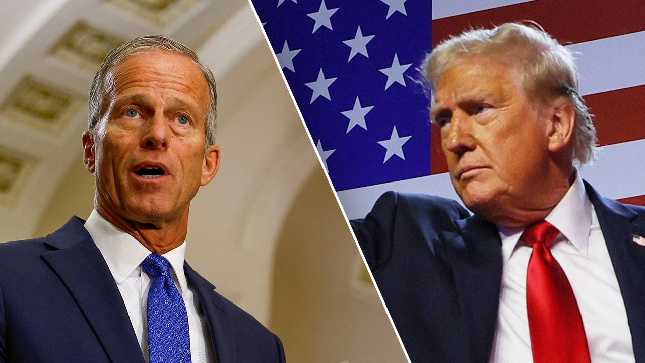 SEN. JOHN THUNE: The modern Republican Party and our mandate