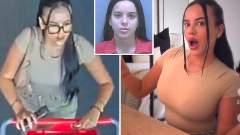 TikTok influencer Marlena Velez arrested after allegedly flaunting shoplifted Target goods on video