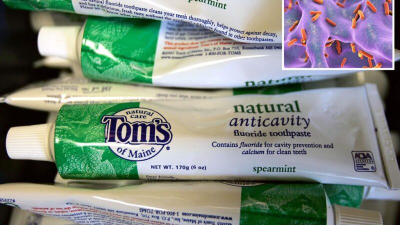 Tom’s of Maine toothpaste made with bacteria-contaminated water: FDA