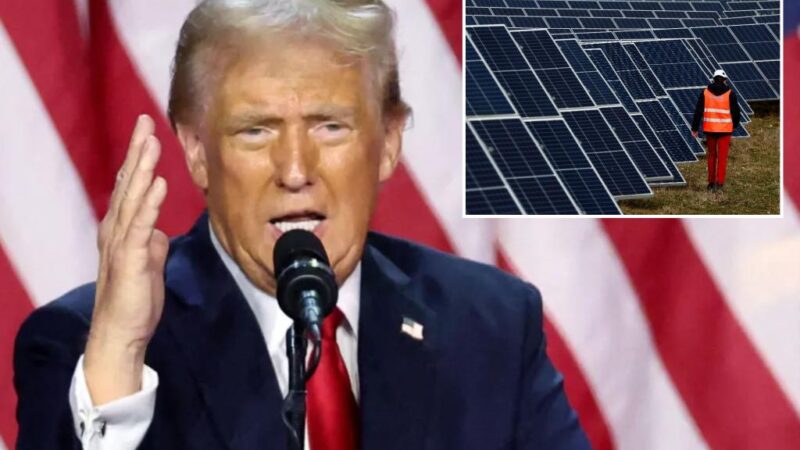 Trump election win sends green energy stock prices tumbling