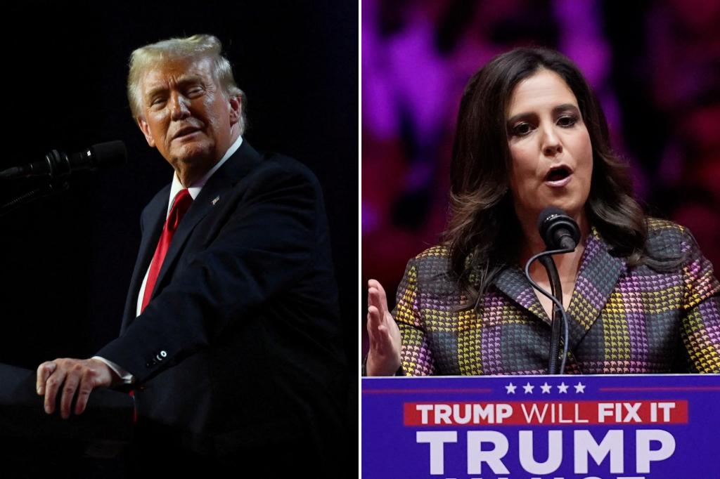 Trump offers Rep. Elise Stefanik ambassador to United Nations post: report