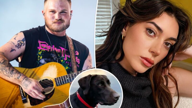 Zach Bryan skips CMAs after Brianna Chickenfry breakup, hangs with dog