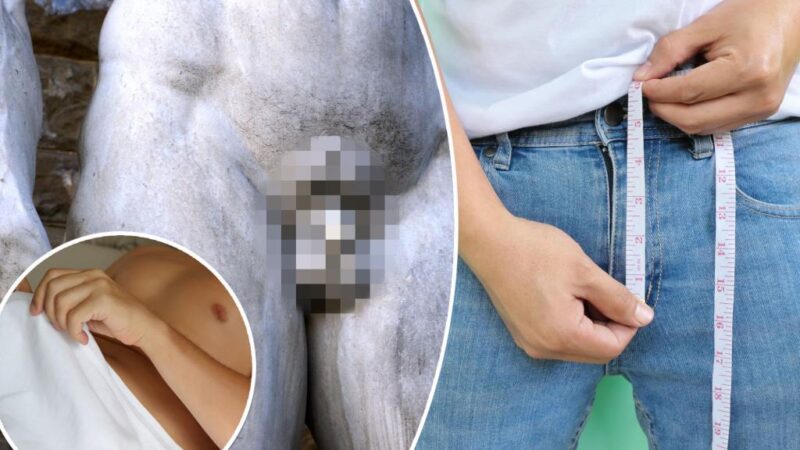 Penis size ranked by US state: study