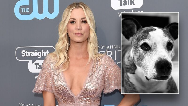 Kaley Cuoco made ‘excruciating decision’ to rehome her dog after ‘mega fights’ with fiancé’s pet