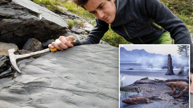 Hiker finds 280M-year-old footprints in Italian Alps in breakthrough discovery