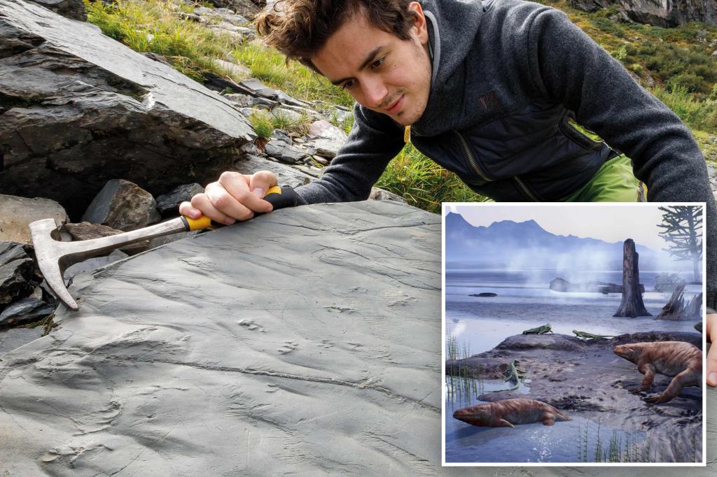 Hiker finds 280M-year-old footprints in Italian Alps in breakthrough discovery