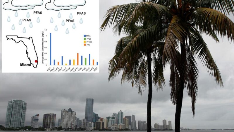 It’s raining ‘forever chemicals’ in Miami — and likely everywhere else, study warns