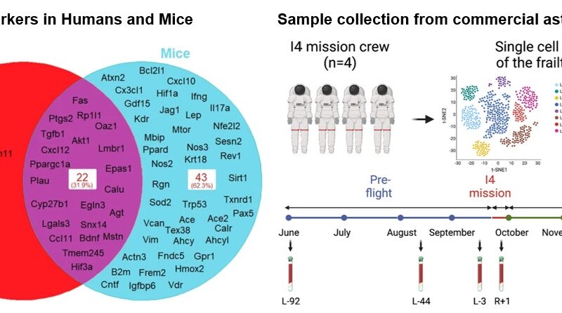 Aging and Fragility Biomarkers are Altered by Spaceflight