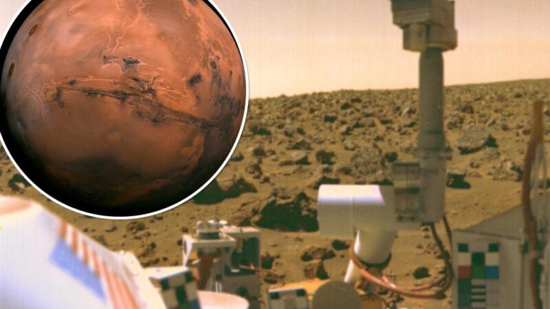 A NASA lander may have killed life on Mars, scientist claims — and colleagues took his theory ‘surprisingly well’