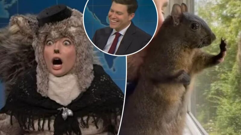 ‘SNL’ interviews P’Nut the squirrel’s widow on Weekend Update