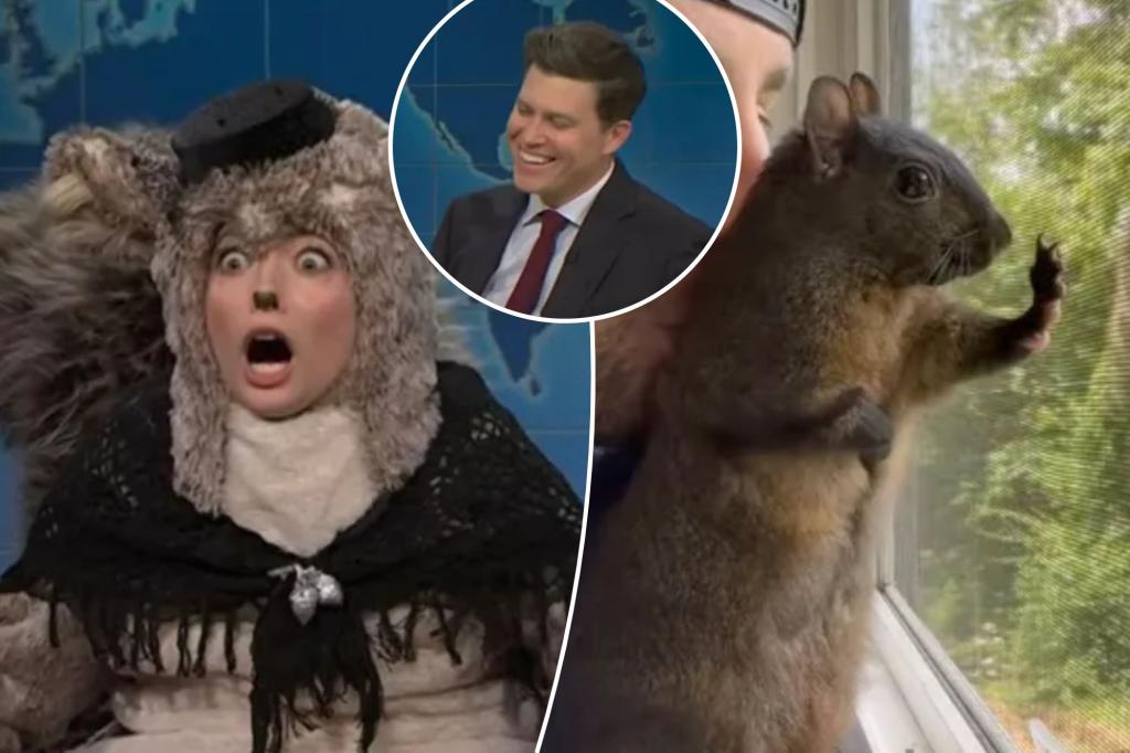 ‘SNL’ interviews P’Nut the squirrel’s widow on Weekend Update