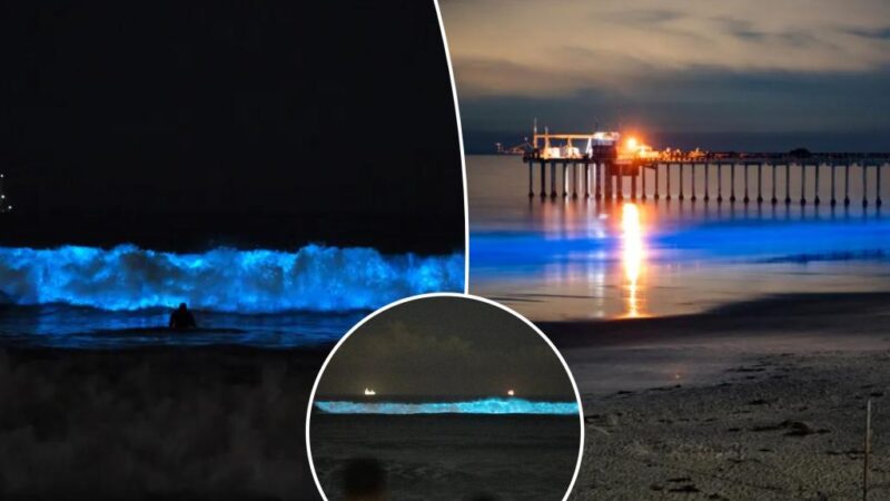 How to see gorgeous ‘glowing water’ natural wonder