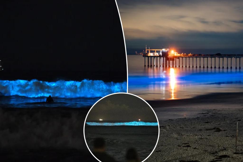 How to see gorgeous ‘glowing water’ natural wonder