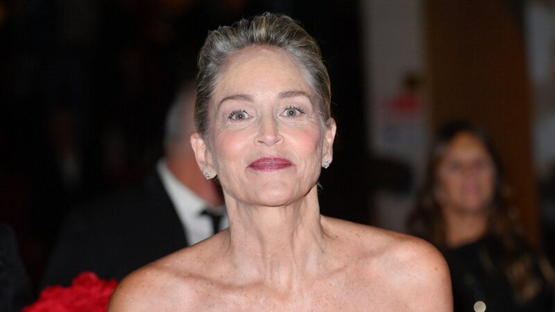 Sharon Stone chastises ‘ignorant, arrogant’ Americans in rant against fascism