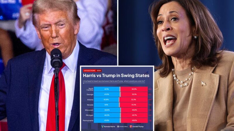 Trump leading Harris in every swing state: new poll