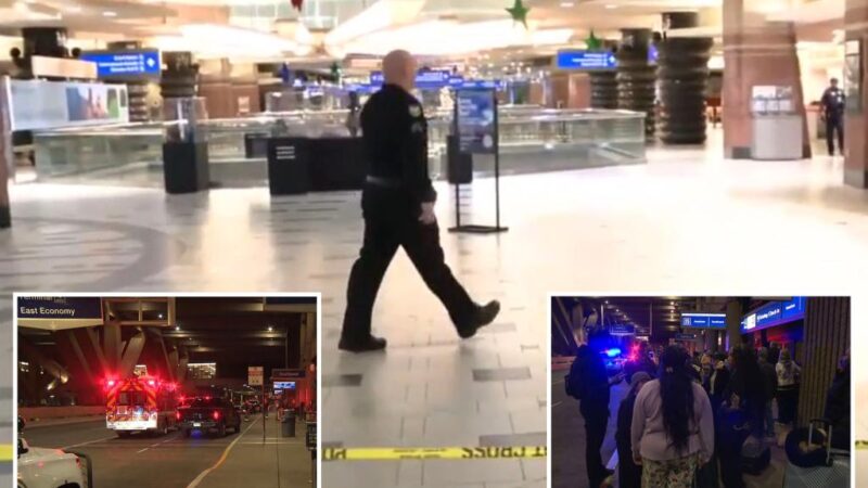 3 shot, 1 stabbed in Christmas fight at Phoenix airport