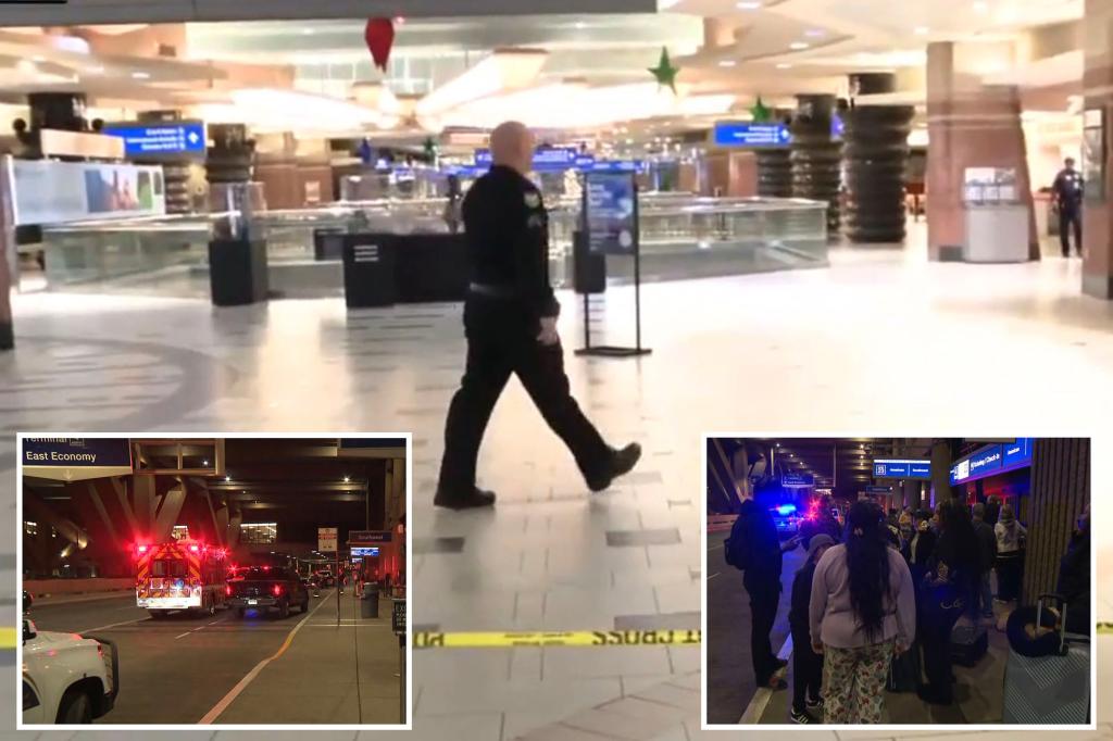 3 shot, 1 stabbed in Christmas fight at Phoenix airport