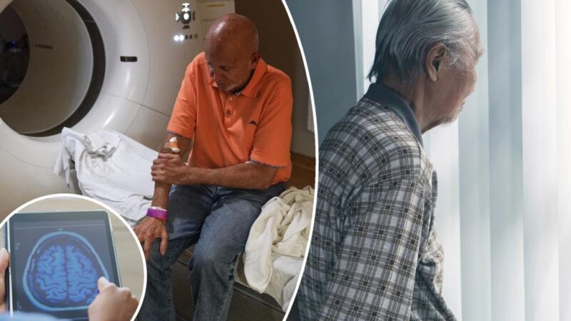 5 major Alzheimer’s discoveries scientists made in 2024