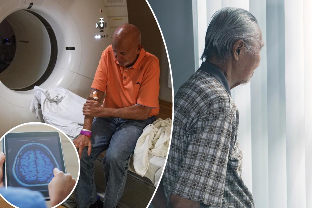 5 major Alzheimer’s discoveries scientists made in 2024