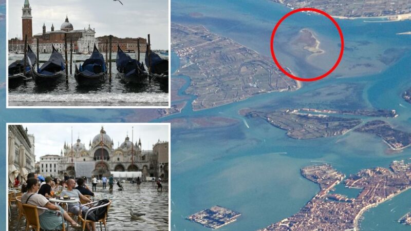 New island with a unique ecosystem emerges from the sea near Venice