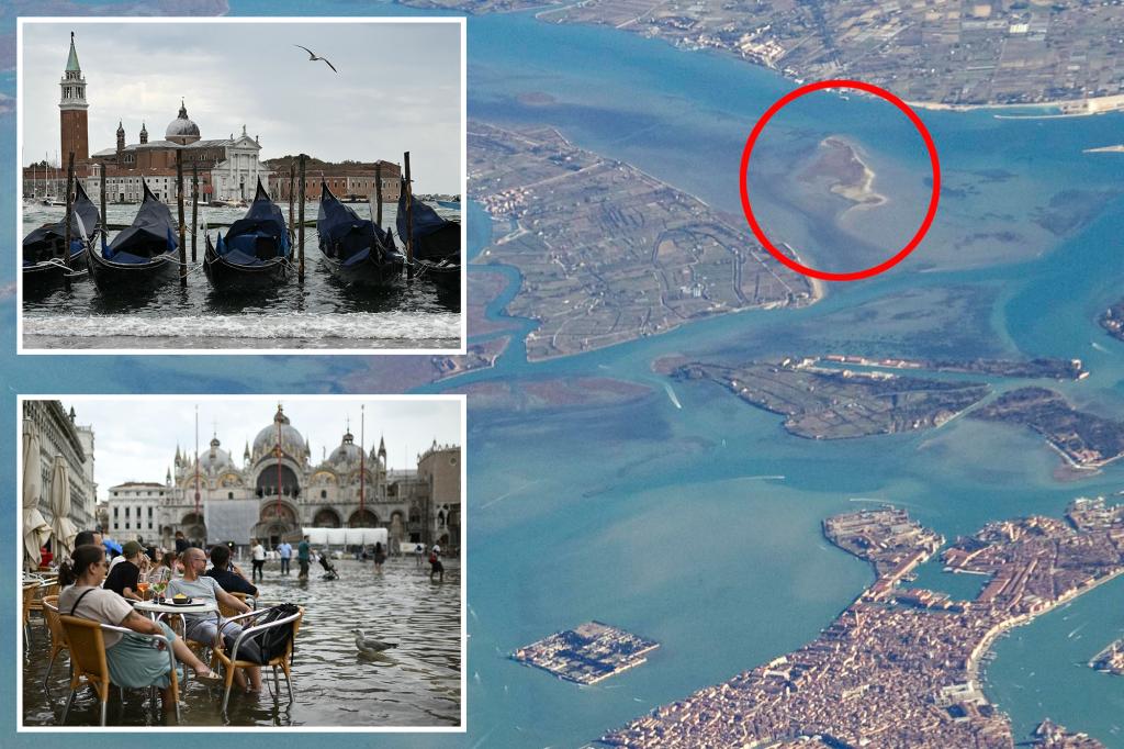 New island with a unique ecosystem emerges from the sea near Venice