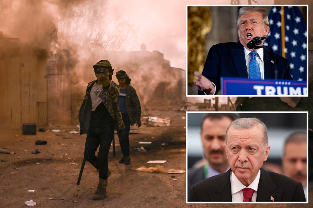 Donald Trump claims Turkey’s Recep Tayyip Erdogan directed rebels behind ‘unfriendly takeover’ of Syria