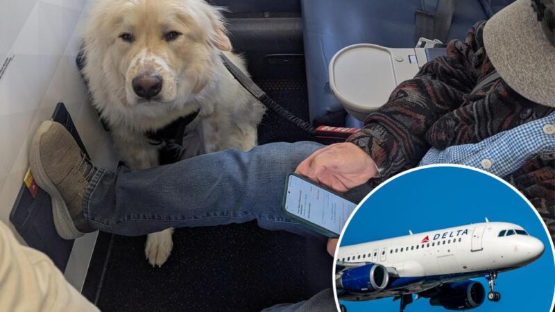 Passenger forced to give up first class seat on Delta — for a dog