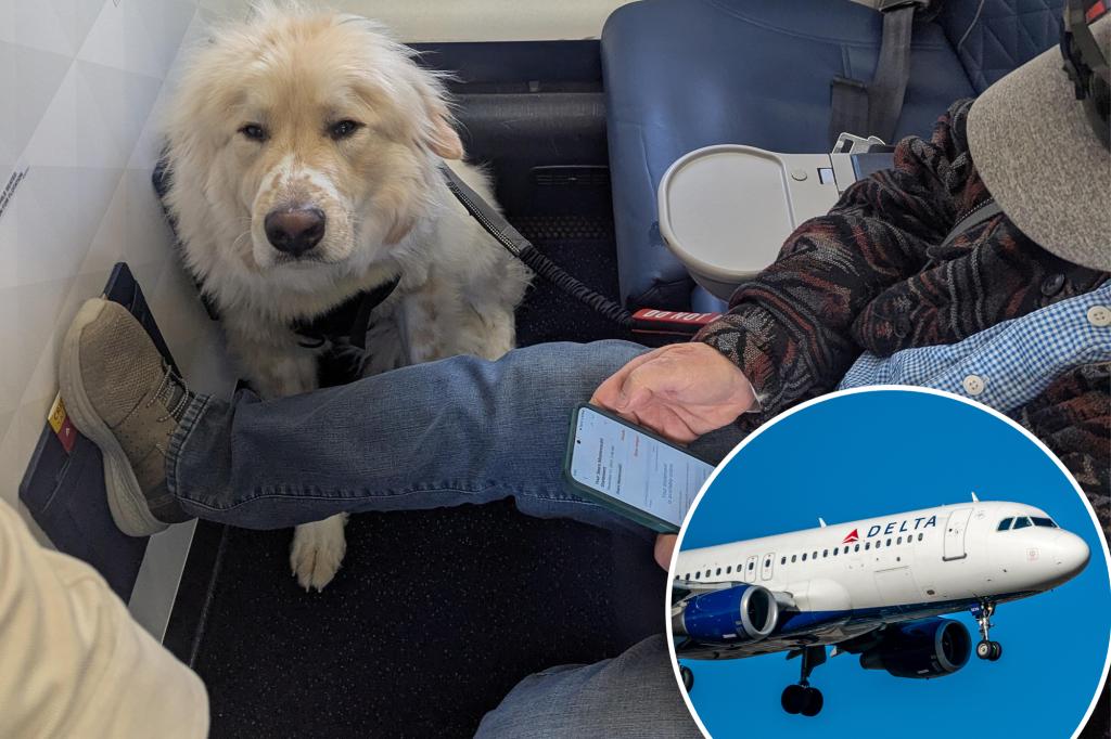 Passenger forced to give up first class seat on Delta — for a dog