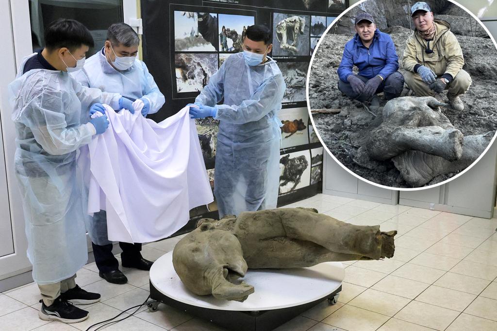 50,000-year-old baby mammoth discovered in ‘exceptional’ find: ‘Remarkably well preserved’