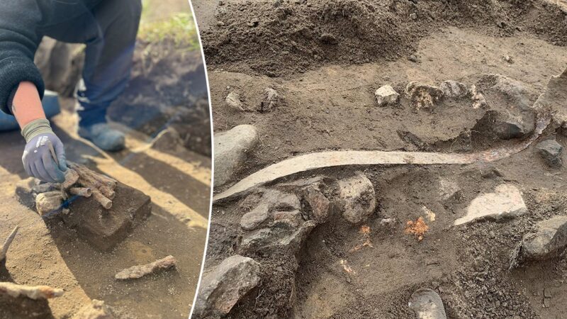 Archaeologists in Denmark uncover what they suggest is a weapons sacrifice during routine excavations