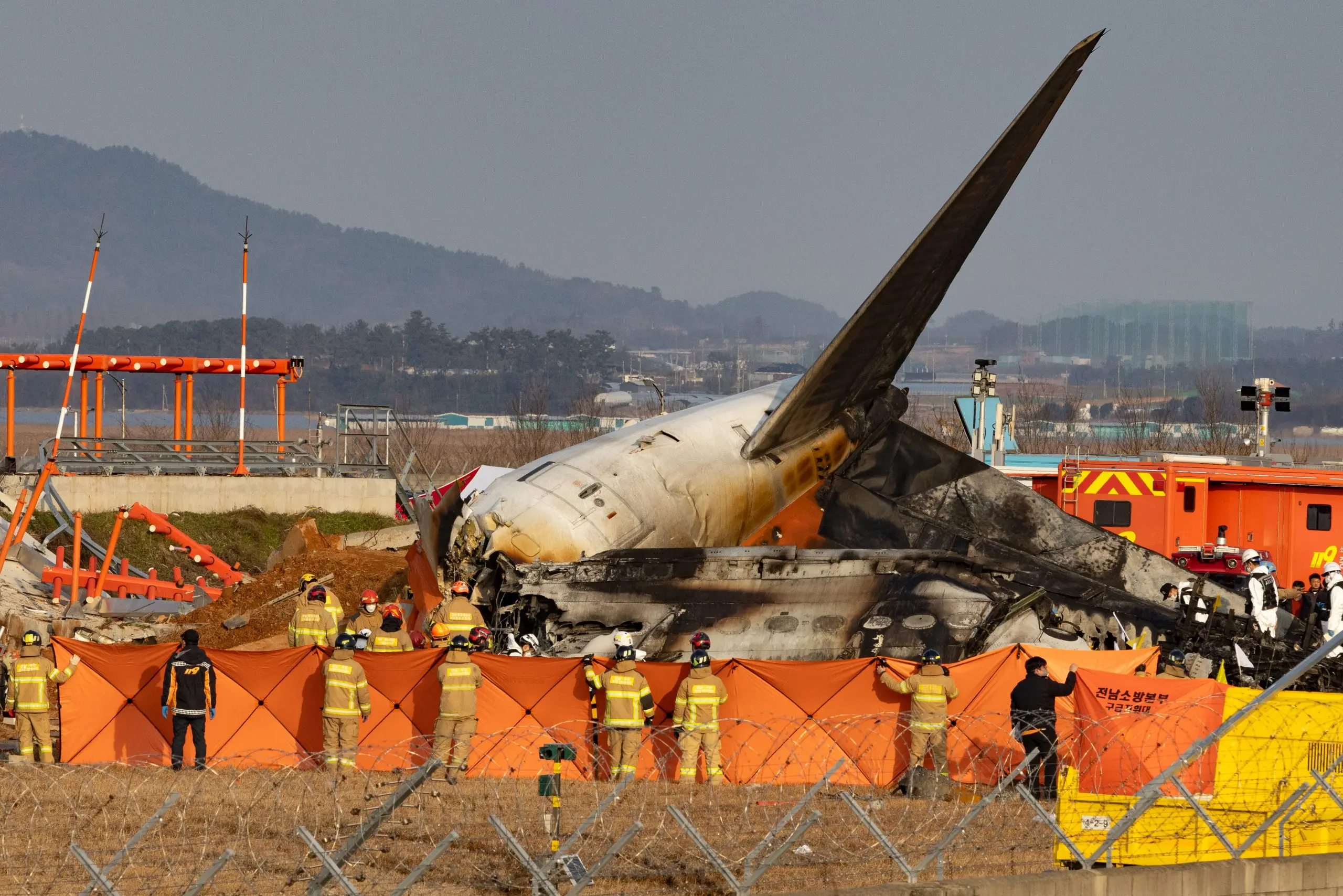 Aviation expert casts doubt on bird strike theory in deadly South Korean plane crash