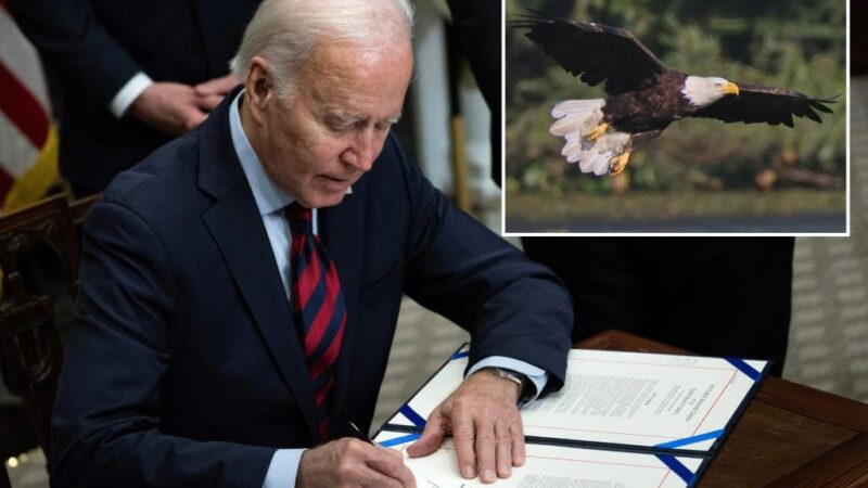 Biden signs new law, designates bald eagle as ‘national bird’ on Christmas Eve