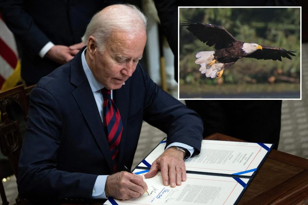 Biden signs new law, designates bald eagle as ‘national bird’ on Christmas Eve