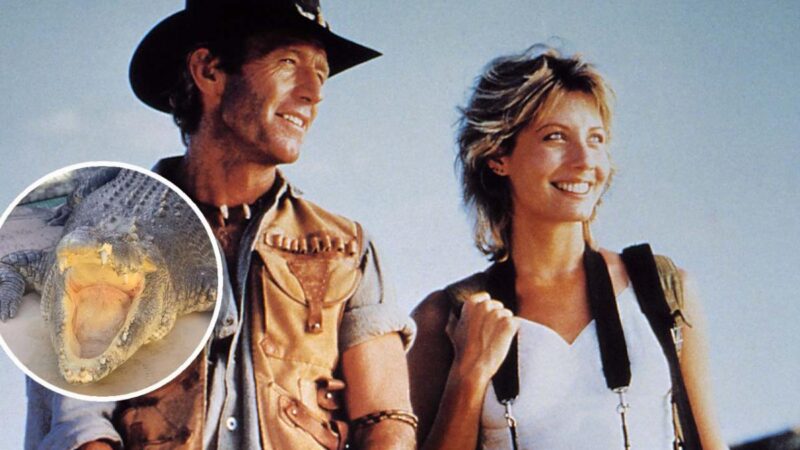 The Crocodile From ‘Crocodile Dundee’ Dies At 90, But Is Paul Hogan Still Alive?