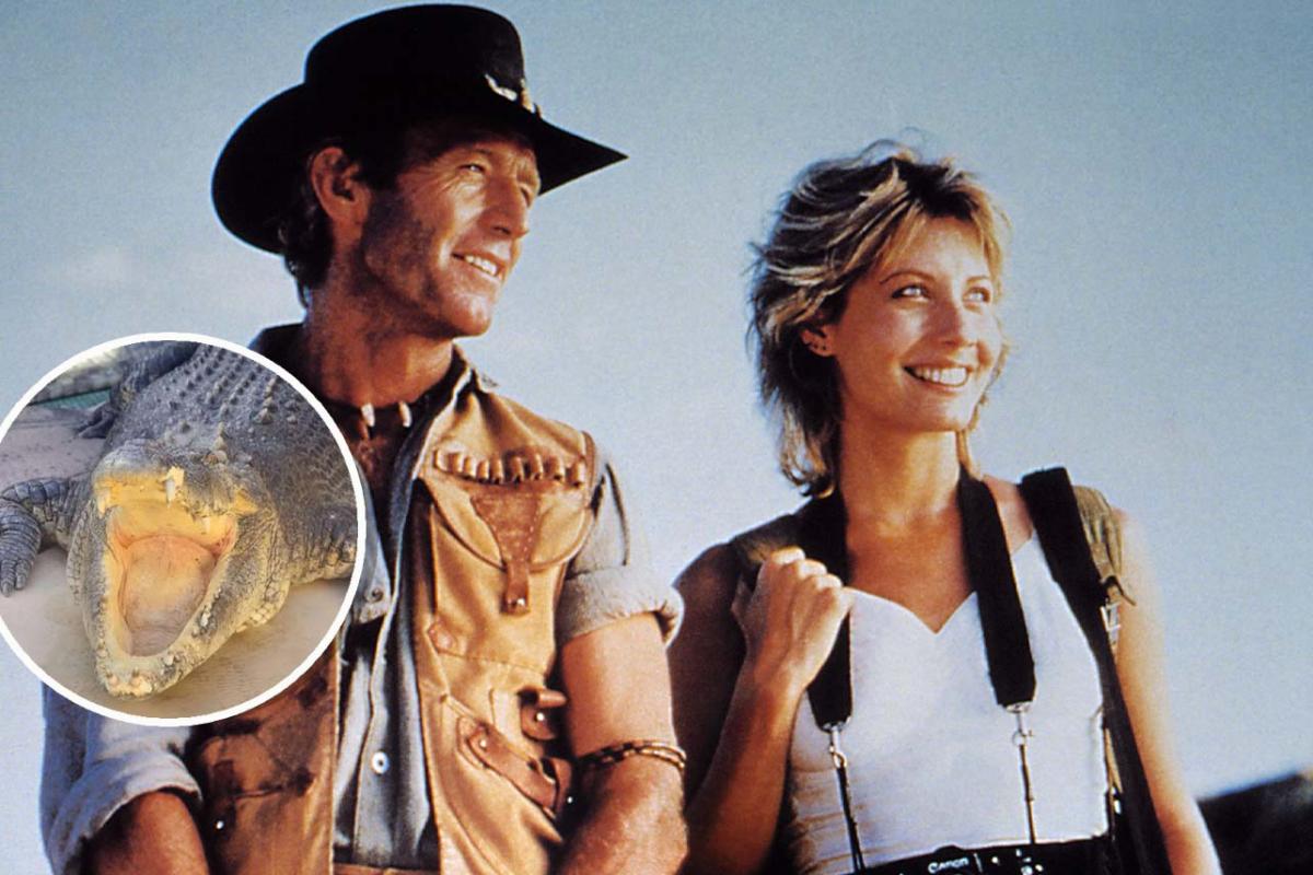 The Crocodile From ‘Crocodile Dundee’ Dies At 90, But Is Paul Hogan Still Alive?