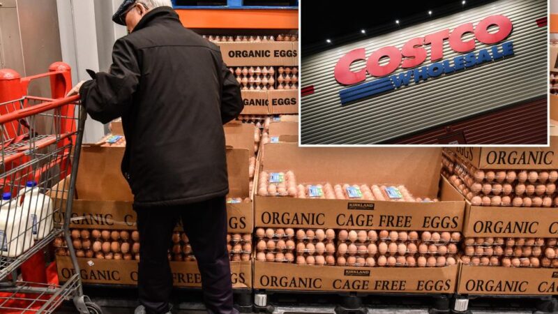 Costco egg recall raised to highest risk level due to salmonella concerns