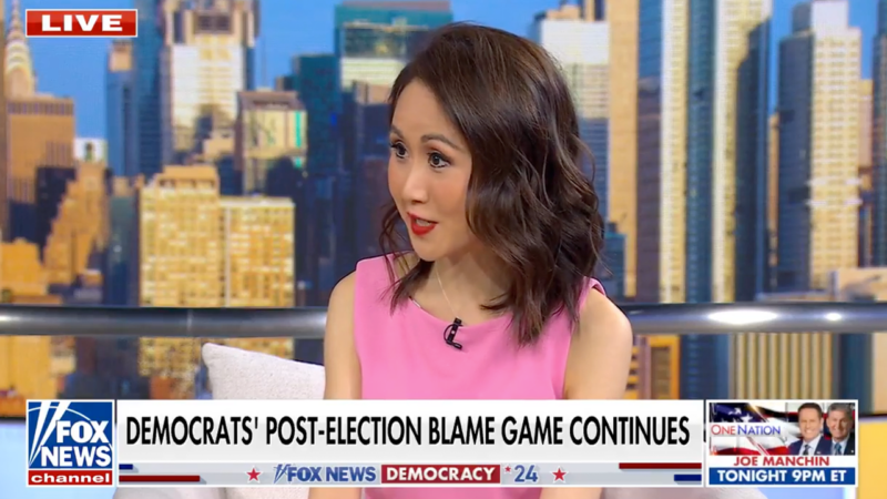 DNC powerhouse fundraiser announces exit from Democratic Party following attacks: ‘It’s like leaving a cult’