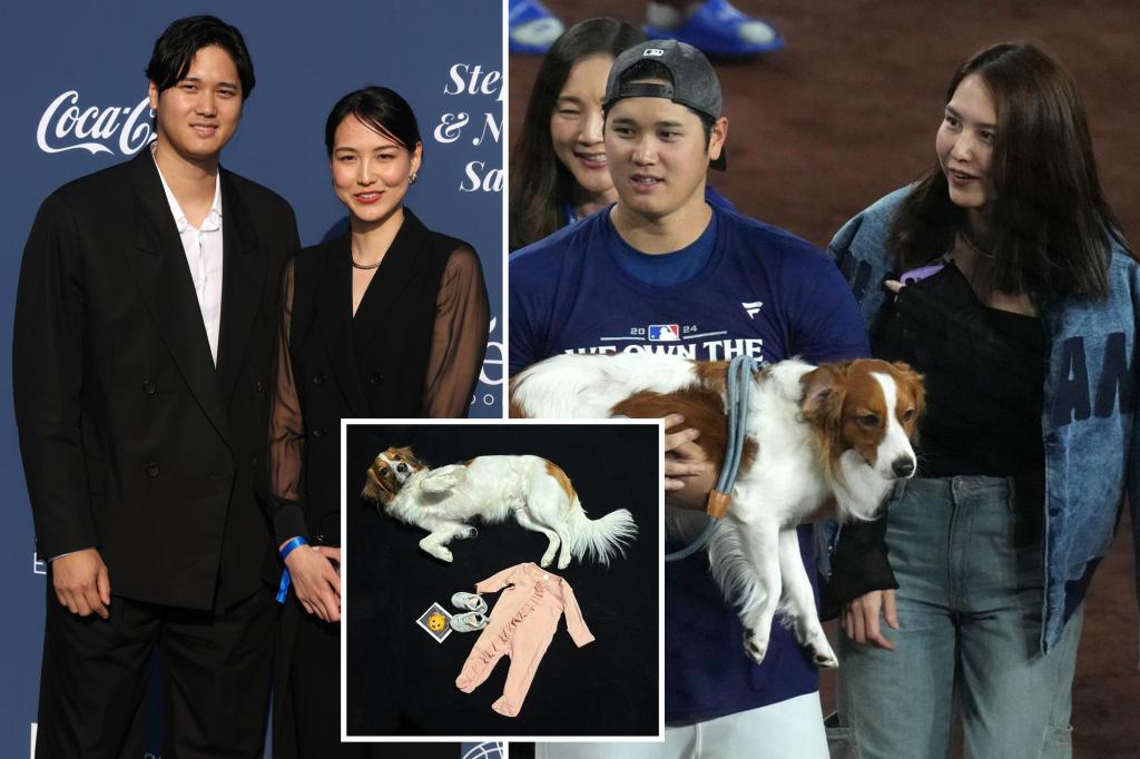 Dodgers’ Shohei Ohtani, wife expecting first child together