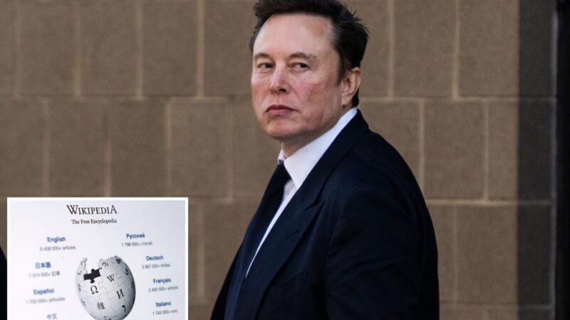 Elon Musk urges supporters not to donate to Wikipedia over DEI