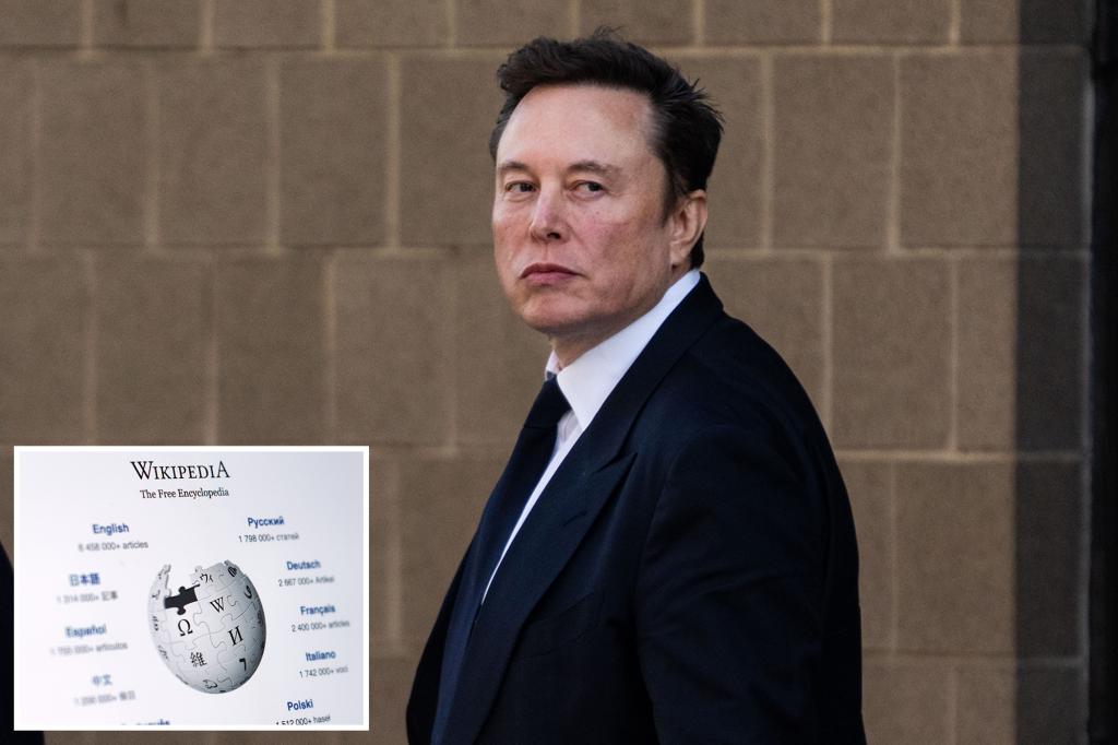 Elon Musk urges supporters not to donate to Wikipedia over DEI