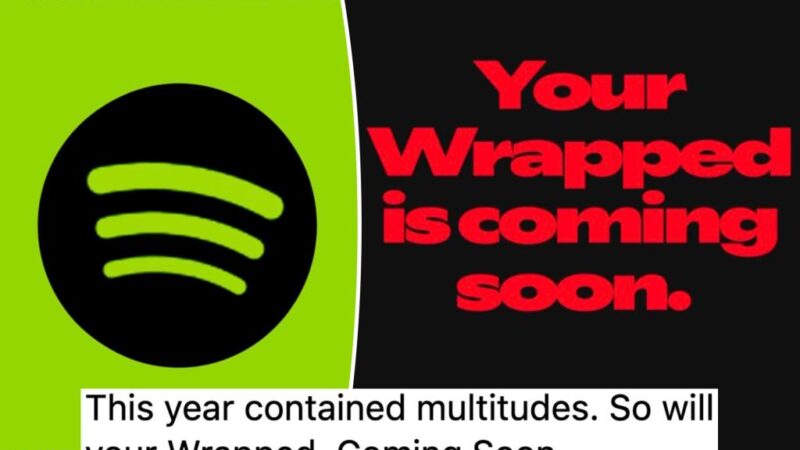 Embarrassed Spotify users are hacking their ‘Wrapped’ results