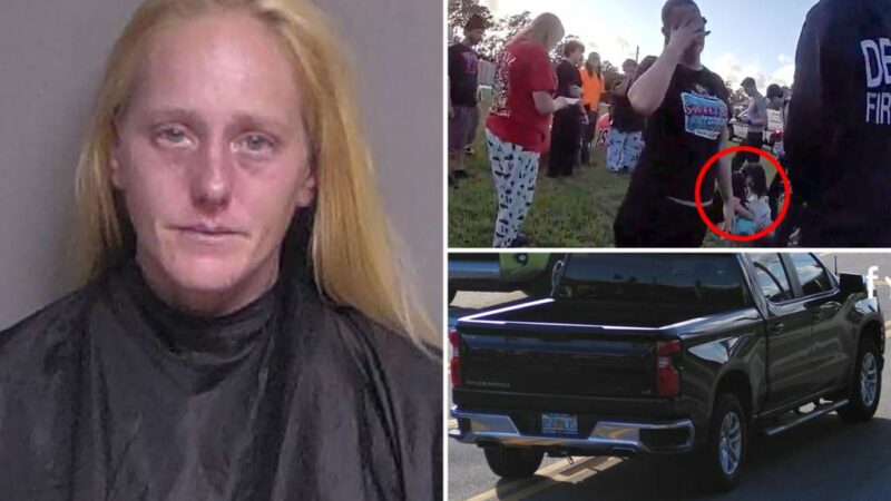 Florida driver hits student with her truck, covers license plate before fleeing: police